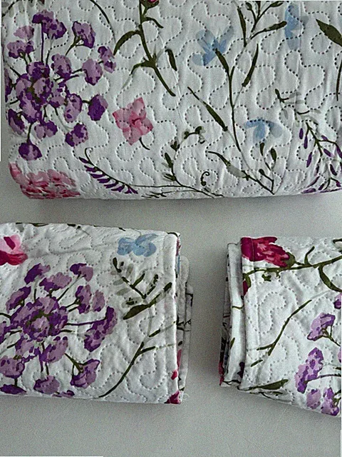3-Piece Queen Size Printed Quilt Set - Pink Red Flower Floral Multi Color